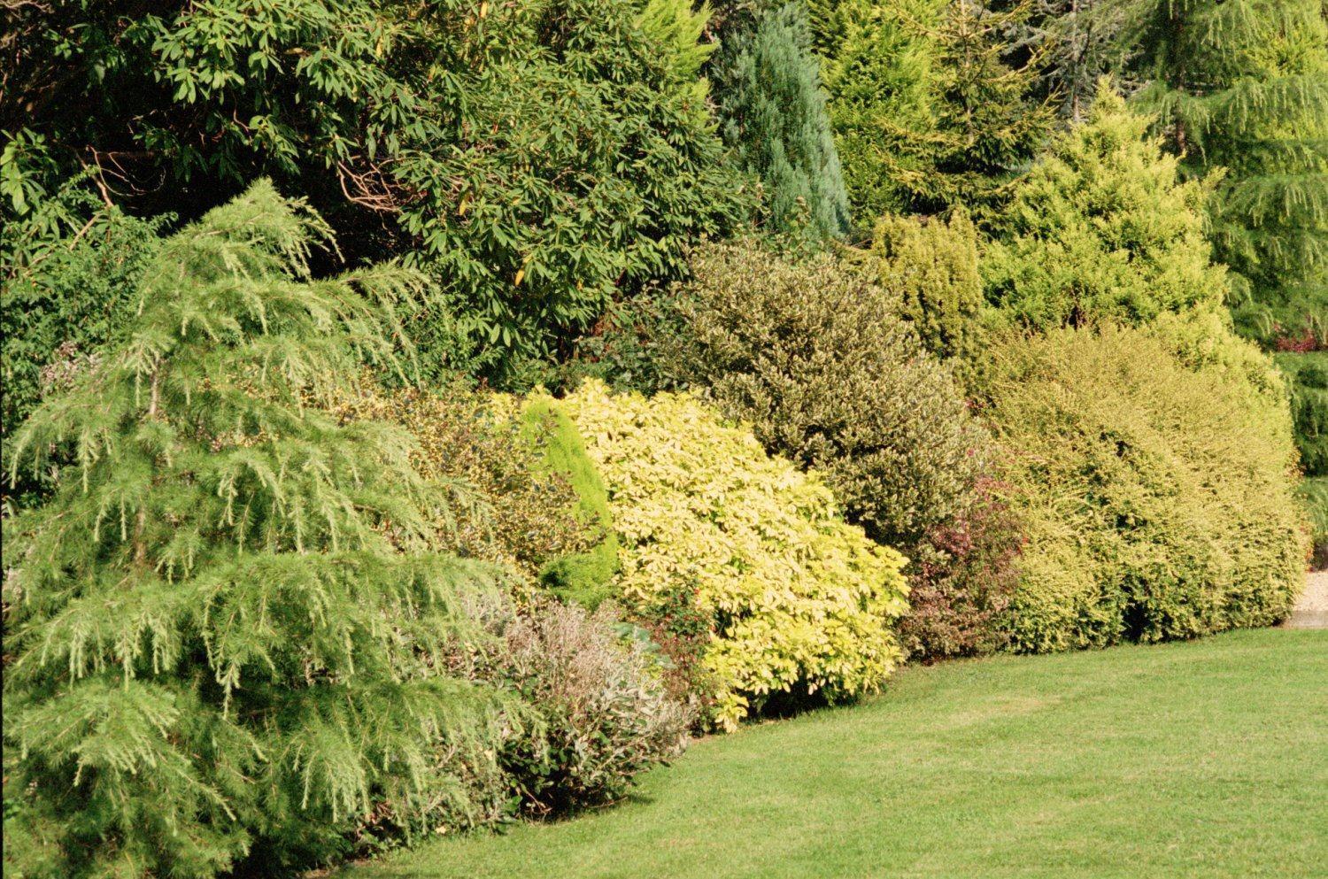 Tre-Ysgawen Hall & Spa Llangefni Zewnętrze zdjęcie